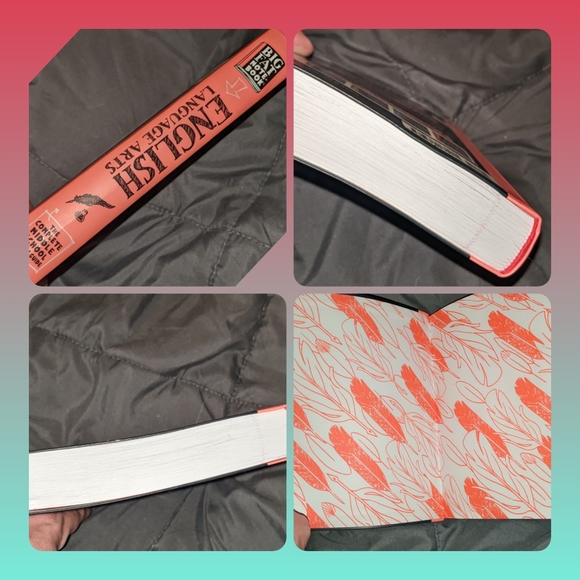 5/$25 Everything You Need to Ace English Language Arts in One Big Fat Notebook - Picture 8 of 10